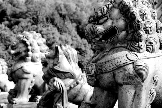 雄獅