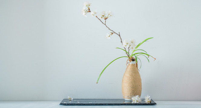 櫻桃花