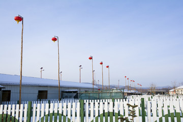 小鎮(zhèn)大紅燈籠