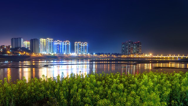 岷江邊油菜花夜景