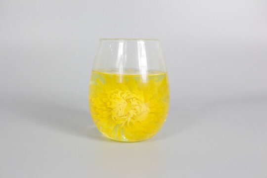 金絲皇菊茶湯