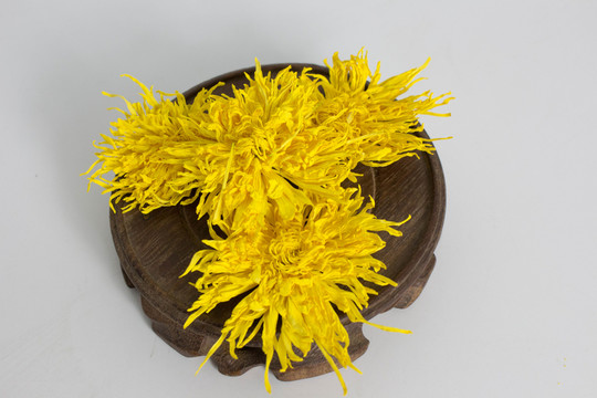 金絲皇菊
