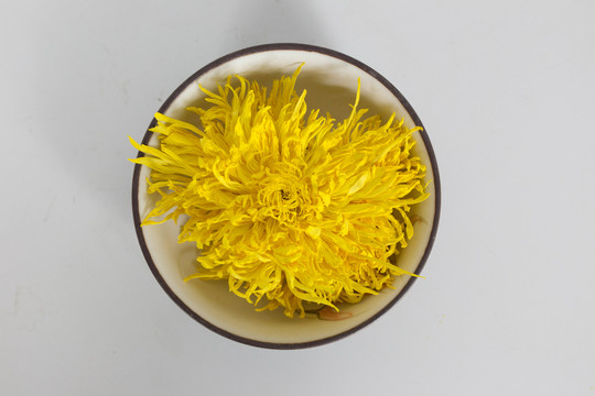 金絲皇菊