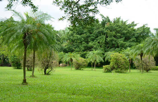 公園綠化