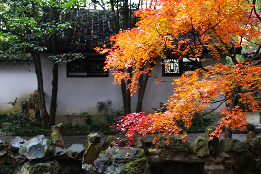 無錫寄暢園秋景
