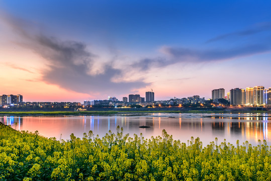 菜花城市夜景