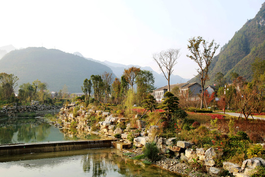 田原 風(fēng)景 樹木 小橋