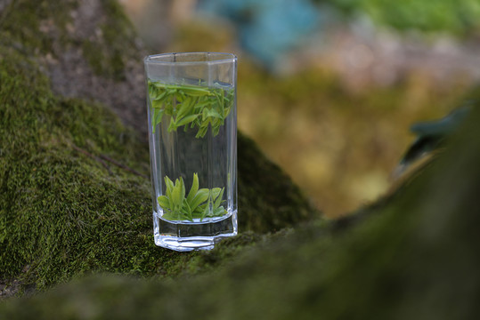 一杯綠茶