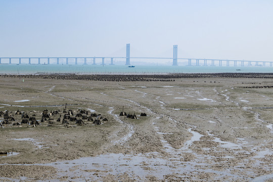 泉州灣大橋 跨海大橋