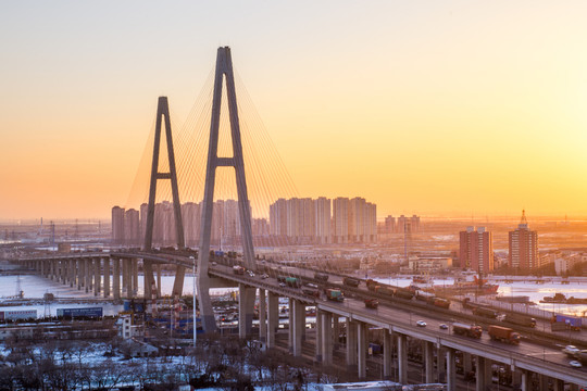 天津?yàn)I海新區(qū) 濱海大橋