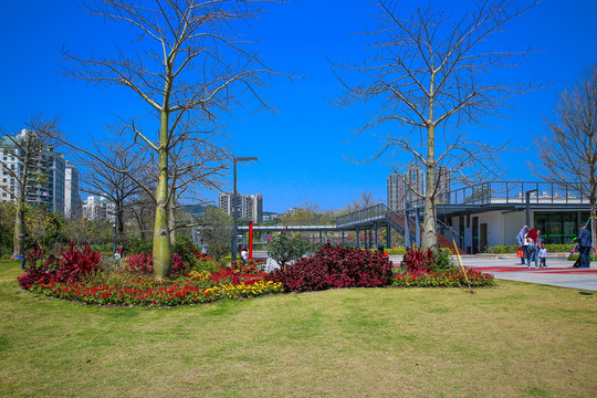 香蜜公園