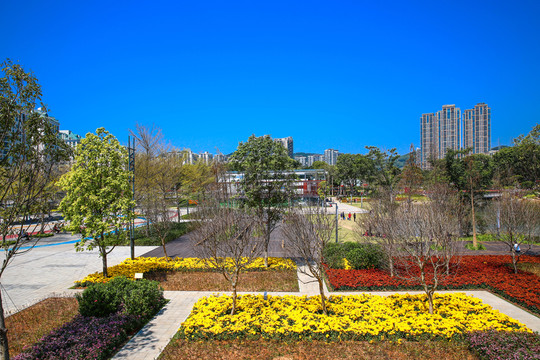 香蜜公園