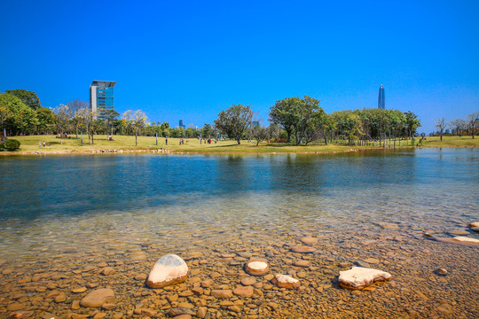香蜜公園