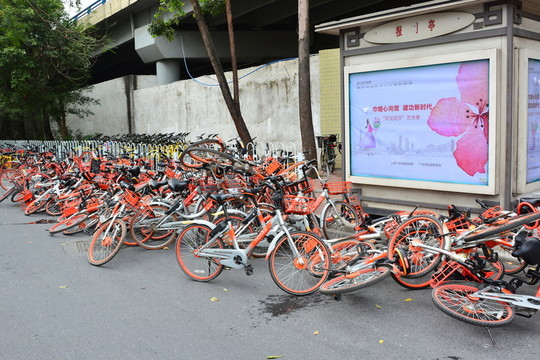 共享單車街景