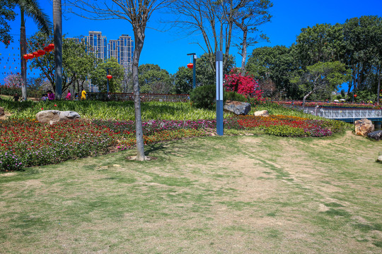 香蜜公園