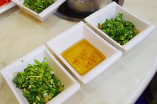 重慶小火鍋