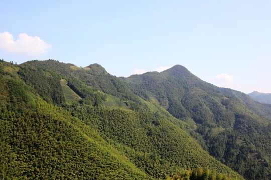 綠色山川