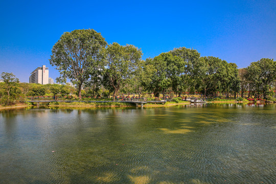 香蜜公園