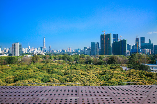 香蜜公園
