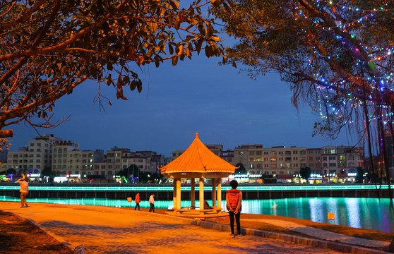 夜景 亭 西湖公園
