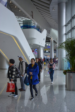 深圳蛇口港