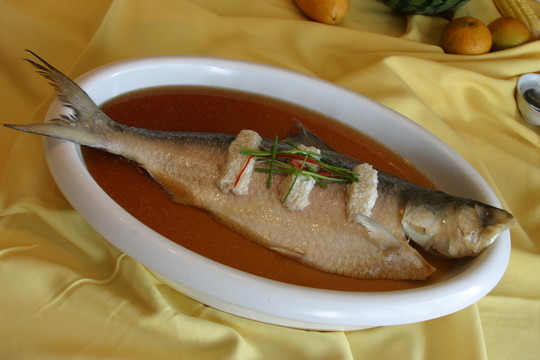 密汁鰣魚