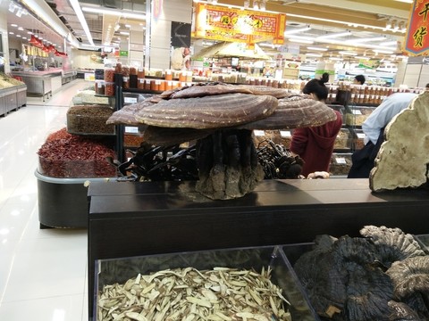 靈芝