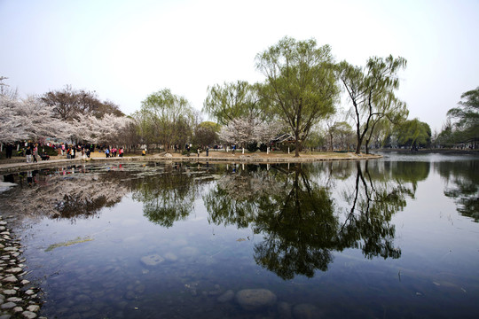 北京玉淵潭