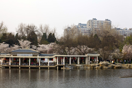 北京玉淵潭