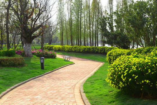 公園步道