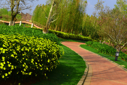 公園步道