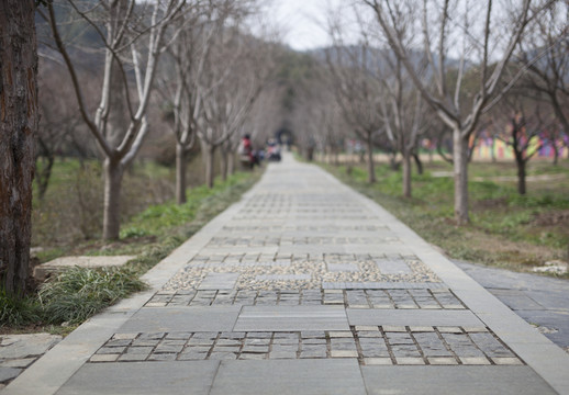 林間石板路
