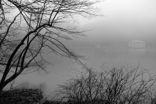 如琴湖風(fēng)景