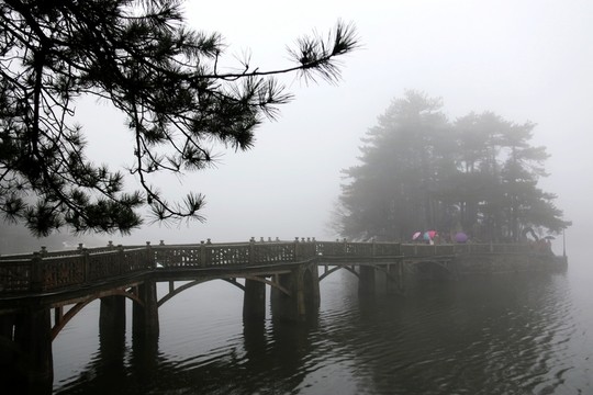 如琴湖風景