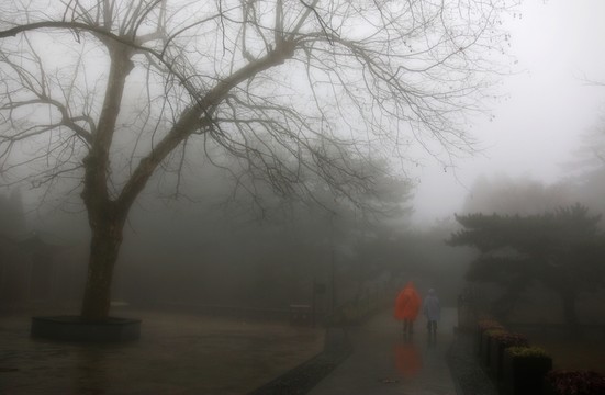 如琴湖風(fēng)景