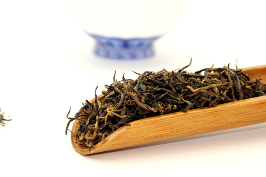 小種紅茶特寫