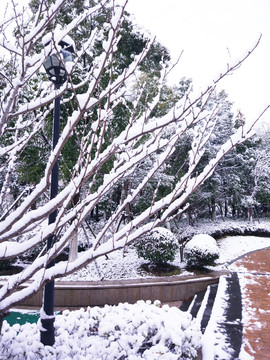 都市花園雪景