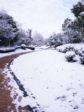 都市花園雪景