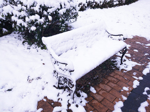 都市花園雪景