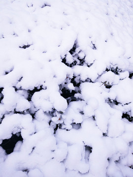 都市花園雪景