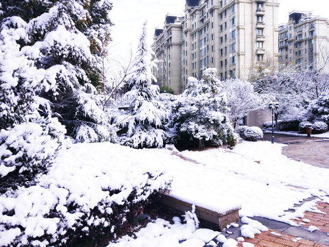 都市花園雪景