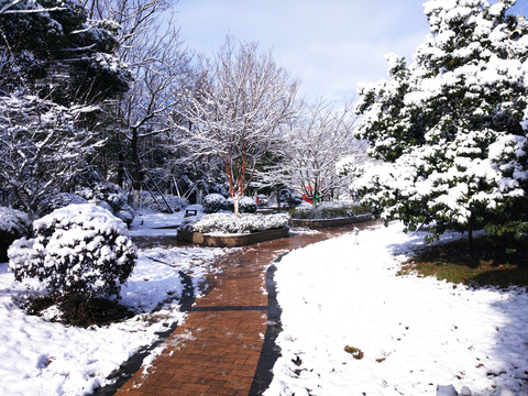 都市花園雪景