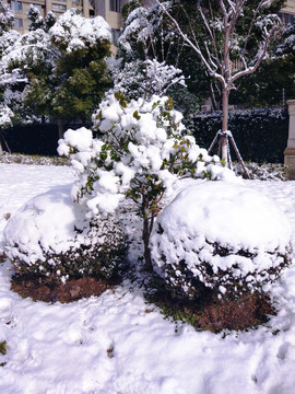 都市花園雪景