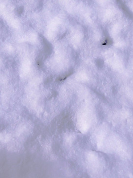 冰天雪地