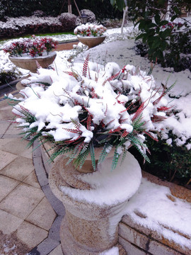 都市花園雪景