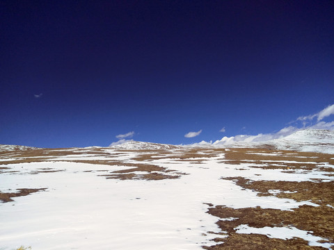 雪山草地