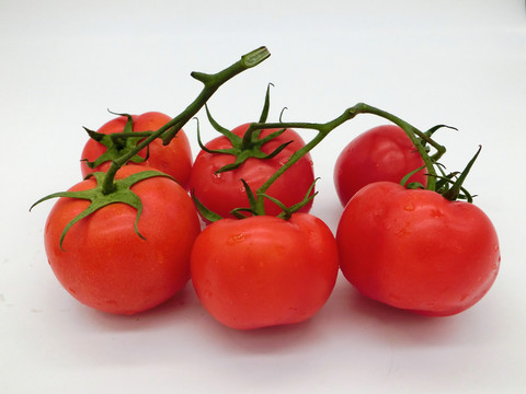 西紅柿 番茄