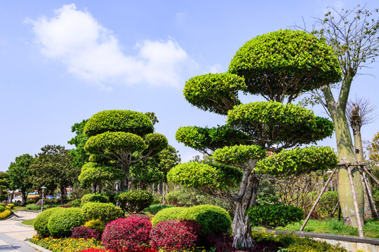 榕樹園藝