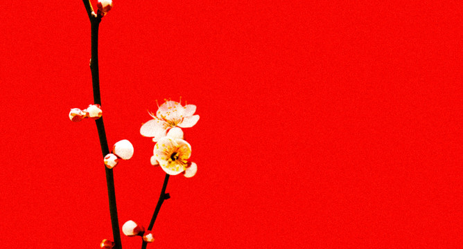 中國風(fēng)