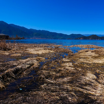 瀘沽湖 草海 無框畫